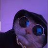 coolguykinda123