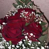 gha_23_2