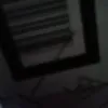 dino_rans