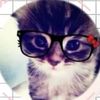 sofi_gm61
