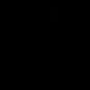 arii20078