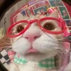 qowppo_