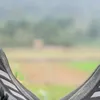 ducanhwuyn