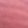 lenas_2572