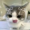 nowlyzql