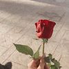 sal_oo_