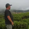 defriantoajja