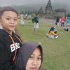 hedymotor