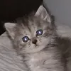 alukkaaaaa6