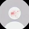 theoo77__