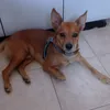 deborah_73_