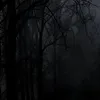 darknight_ang