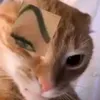 mths__1