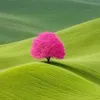 celiadealmeidabonfimalm1