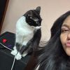 mmed_22