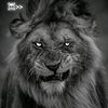 mota_marred