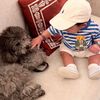 sallama_ss