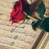 algnob_11