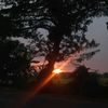 hellomafan_s