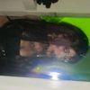 ineedtobemyselff