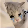 hawng.sn08