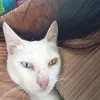 baemiya24