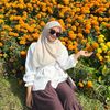 sallndfa_