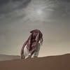 fahad_k52