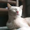 nan_chevriers123