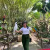 ayujuliasih_