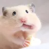 aaaaaaaaabbbbbbbbbccc