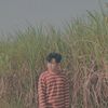 iwak.pitik