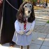josephine_roblox08