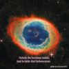 bil.polar