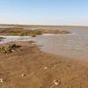 alfaqehi