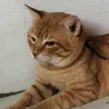 efghijkl_nopqrs