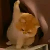 vtp_02