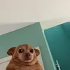 a.g_117