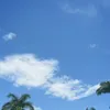 joycinhazinha