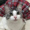 sashimi_soju