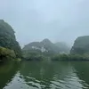 shark_jack68