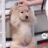 ntuongv