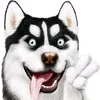 trumc0nhem