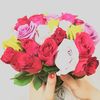 rasha__1987