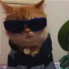 jaggydoodle