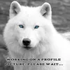 luna_wolverick