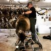 kyle_taxidermist