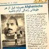 afghanlion._