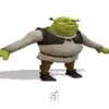 sasa_sacer69