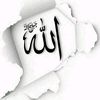 baran_mesen02